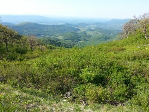 Blue Ridge ride