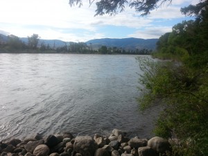 View from our campsite on the Yellowstone River