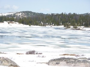 Lake with ice floes