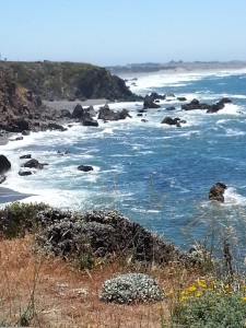 Northern California coastline