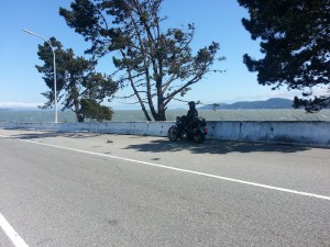 The solitary biker