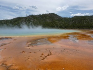 Yellowstone's sulphur pools