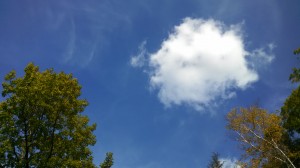 The little cloud